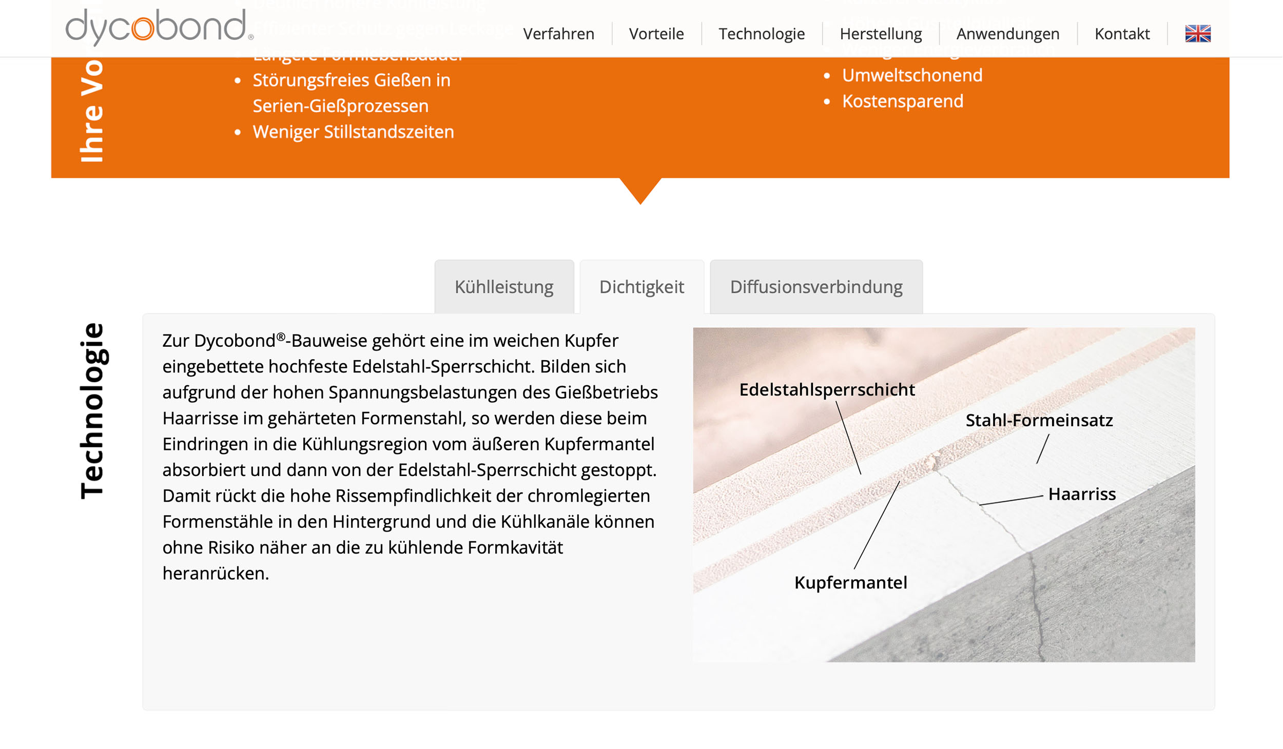 dycobond_home_4